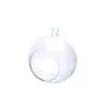 Graine Créative Vases Boule Verre Ouverte 8cm -Vases Soldes boule verre ouverte 8cm