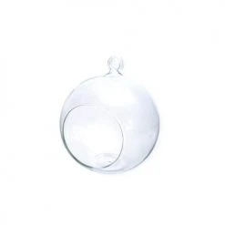 Graine Créative Vases Boule Verre Ouverte 8cm