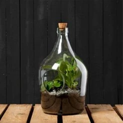 Esschert Design Vases Bouteille Décoration Pour Terrarium 5 Litres -Vases Soldes bouteille decoration pour terrarium 5 litres 3