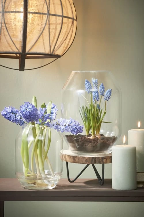 Mica Decorations Vases Vase En Verre D25 7 Mica Decorations Vases Vase En Verre D25 – Image 5