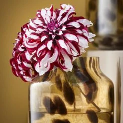 Mica Decorations Vases Vase En Verre Recyclé Marron H22,5 9 Mica Decorations Vases Vase En Verre Recyclé Marron H22,5 -Vases Soldes vase en verre recycle marron h22 5 1