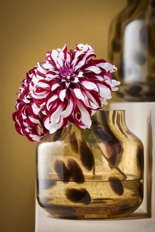 Mica Decorations Vases Vase En Verre Recyclé Marron H22,5 4 Mica Decorations Vases Vase En Verre Recyclé Marron H22,5 – Image 2